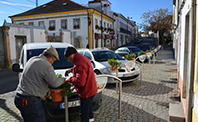 flores rua j basso