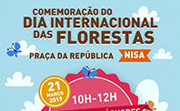 cartaz florestas