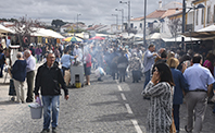 feira s miguel