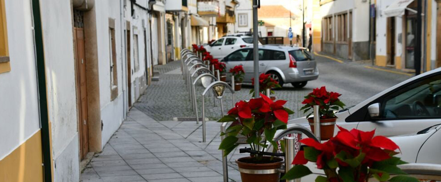 flores natal