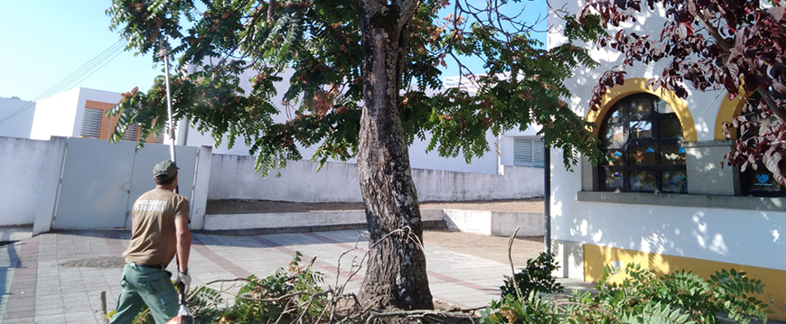 limpeza escolas