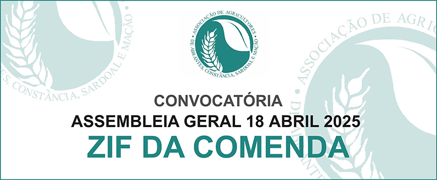 editalZIFComenda